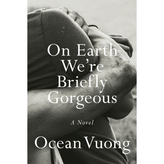 On Earth Were Briefly Gorgeous A Novel by Ocean Vuong [Vuong, Ocean] (PAPERBACK)