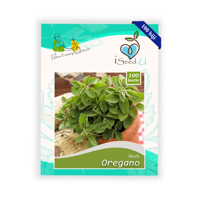 Benih-Bibit Oregano (iSeed-U)