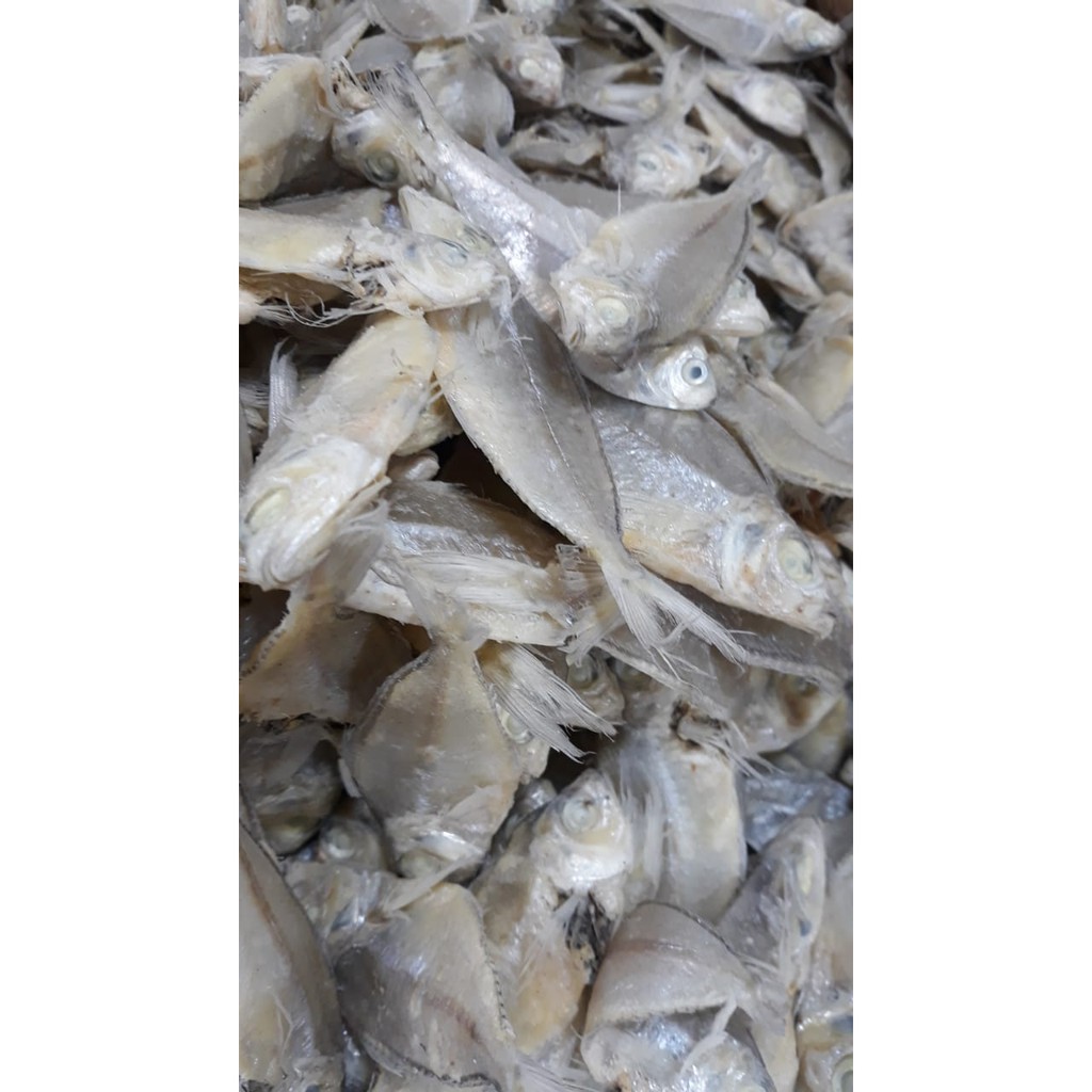 

IKAN PERAK 500 GRAM