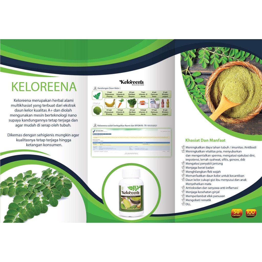 Obat Herbal Sinusitis, Infeksi, Radang Sinusitis, Rhinitis, Hidung Tersumbat, Hidung Bengkak, Bau, Anosmia, Polip Hidung, Sakit Kepala, Tenggorokan, Sesak Napas, Nyeri Dada, Nyeri Ulu Hati, Infeksi Paru Paru, Batu Ginjal, Infeksi Saluran Kemih - Keloreena-5