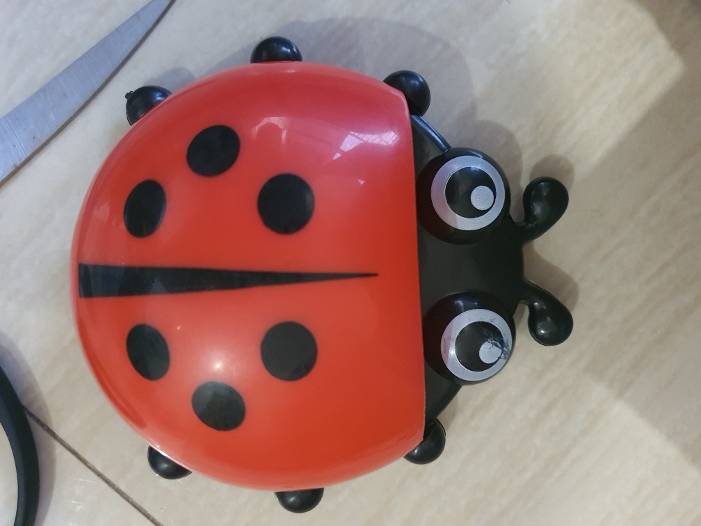 Tempat Sikat Gigi Kumbang Lady Bug Toothbrush Holder Unik
