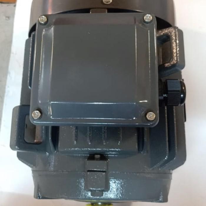 Elektromotor Teco 5 Hp 4 Pole 3 Phase