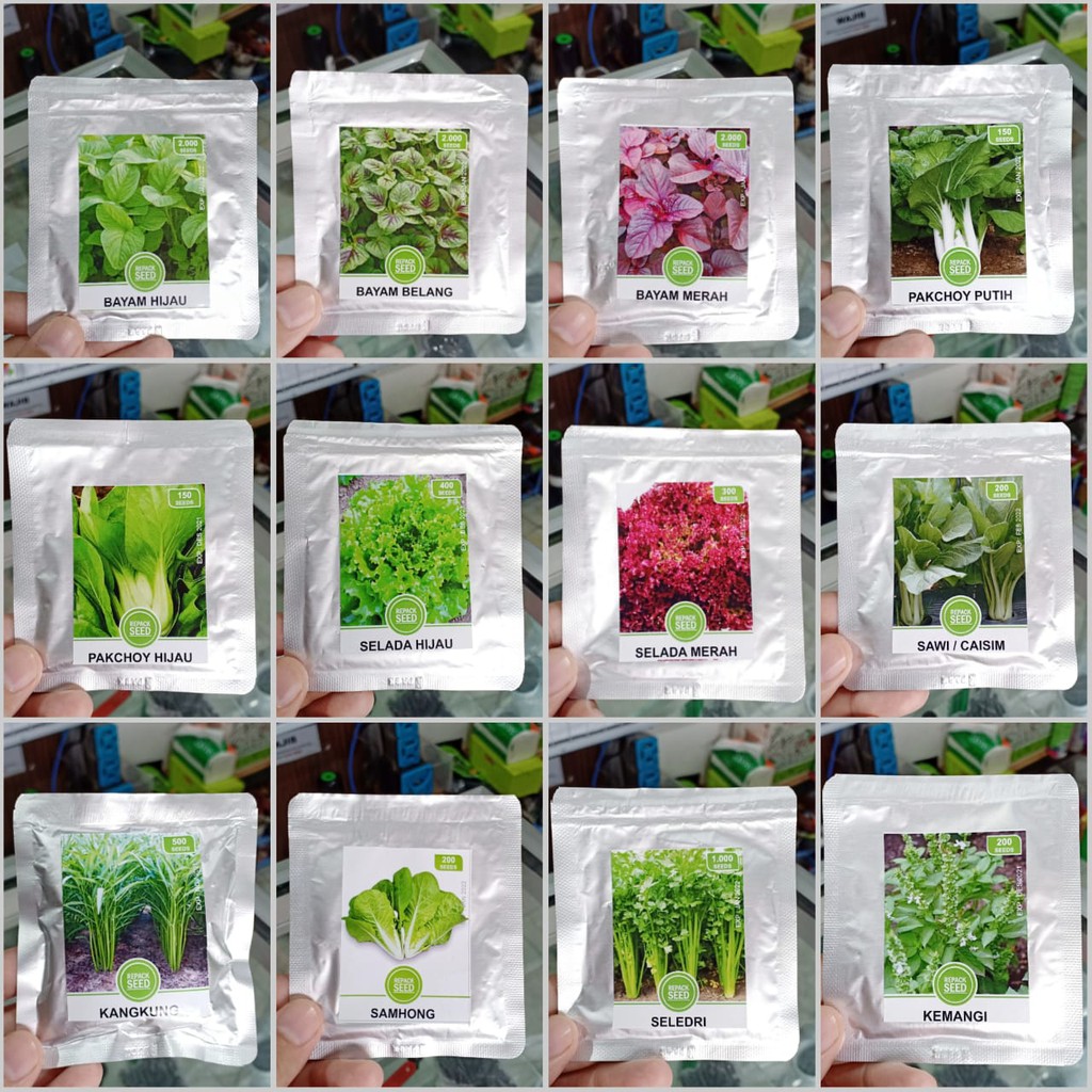 benih sayuran - kangkung/sawi/pakchoy/selada merah/selada hijau/bayam/seledri/tomat/terong/cabe