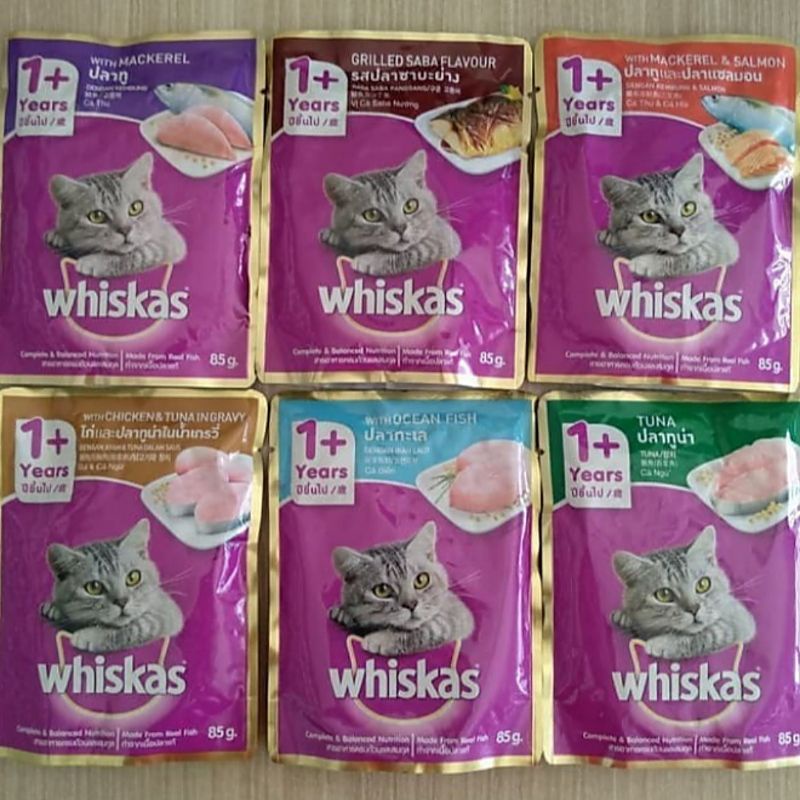 Whiskas Sachet Pouch 1Box ALL VARIAN makanan Kucing Wetfood