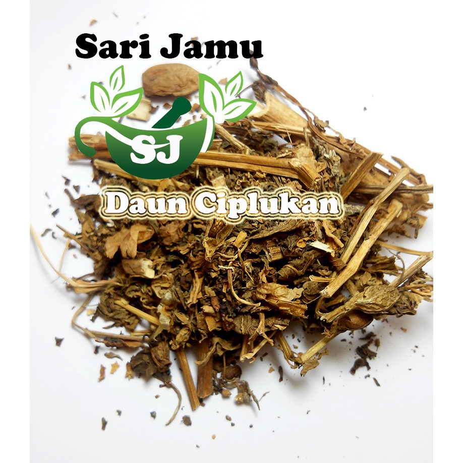 

Jamu Herbal Tradisional Tanaman Daun Ciplukan 250 gr