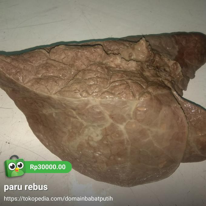 

paru rebus