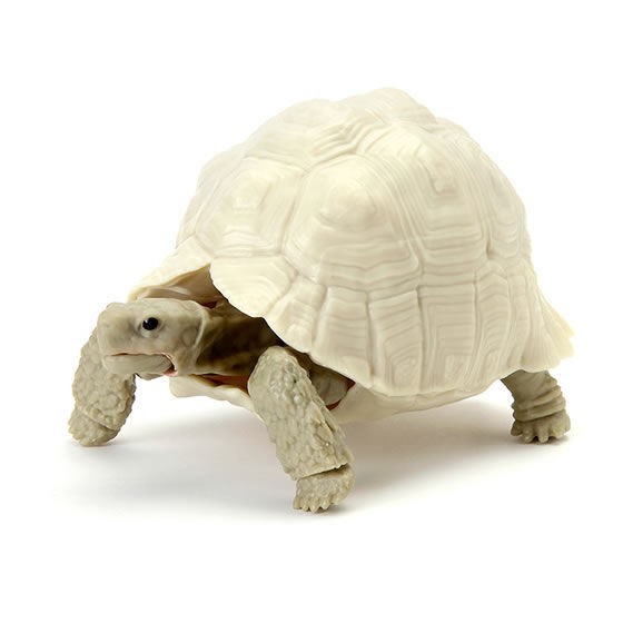 Flash Sale Gashapon Kame Turtle Vol 5 Set Of 4 Terbaru