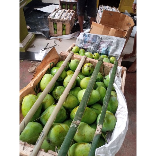 

mangga dermayu