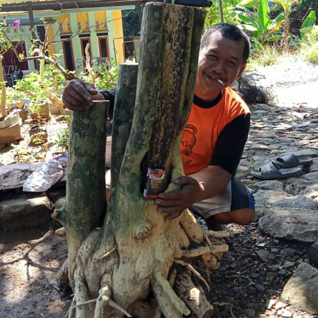 njupoerwantiningtyas