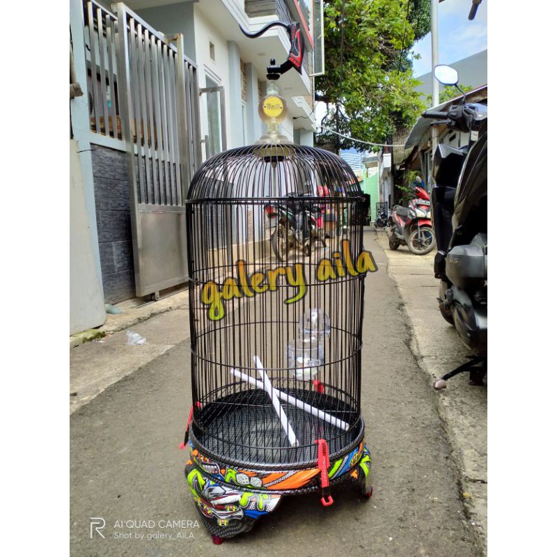sangkar burung Lovebird BNR energy carbon