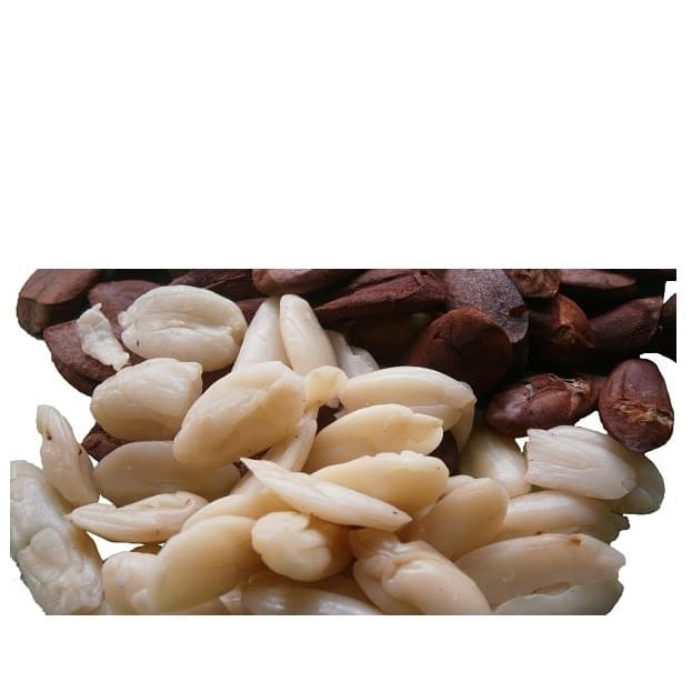 

KACANG KENARI OVEN - PANGGANG - MATANG 100 GR