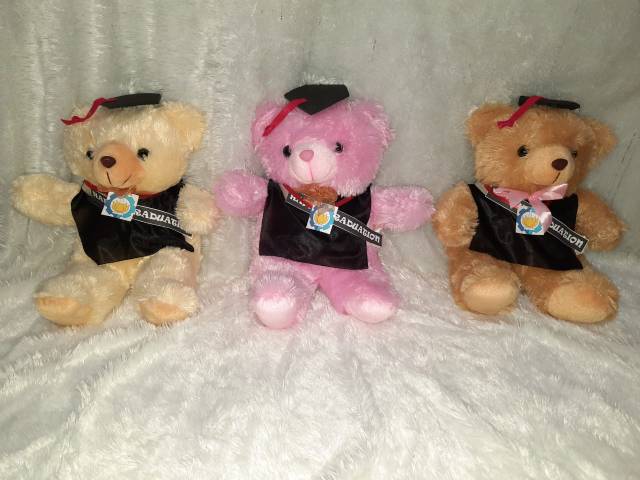 boneka wisuda/boneka ultah/ boneka sidang