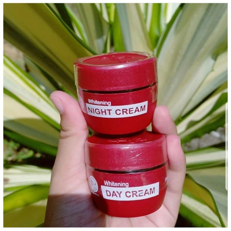 CREAM LC BEAUTY / NIGHT CREAM LC BEAUTY / DAY CREAM LC BEAUTY