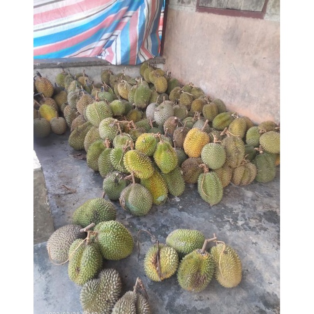 

Durian