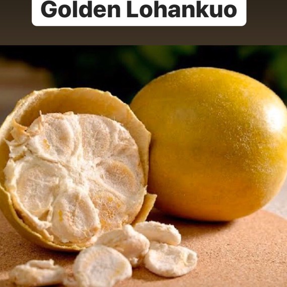 

Golden Lohankuo