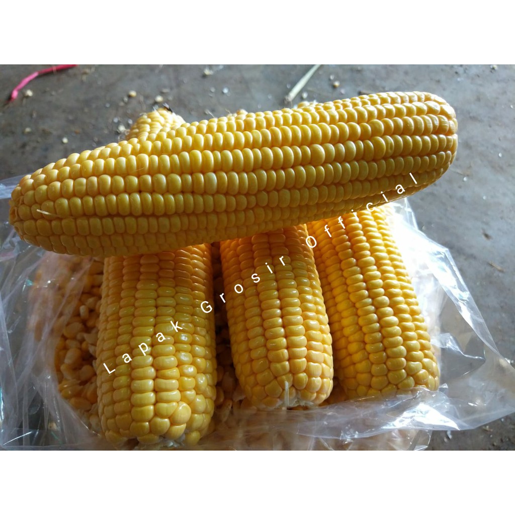 

JAGUNG MANIS KUPAS SUPER