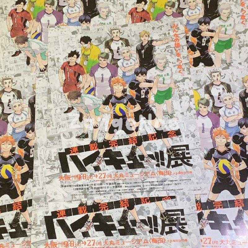 Haikyuu Exhibition Flyer (original)
