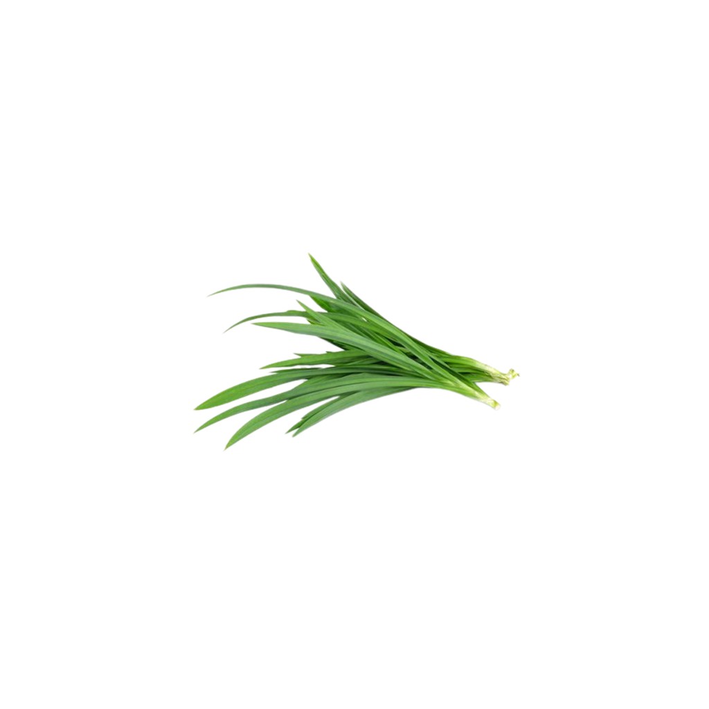 

SAYUR ORGANIK Daun Pandan