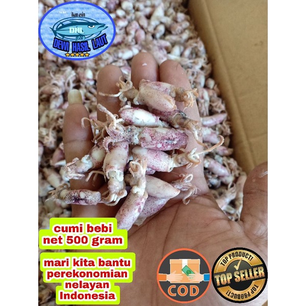 

Ikan asin bebby cumy 500 gram