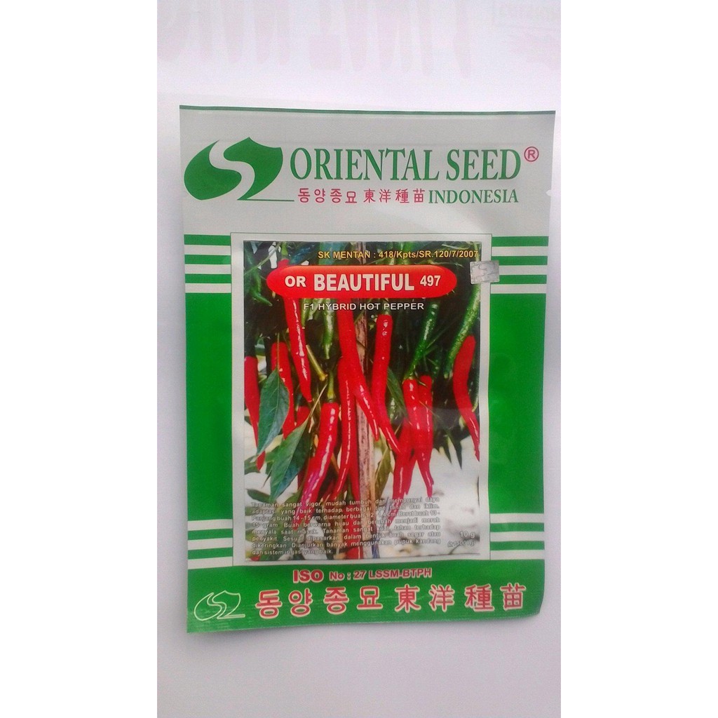 

CABE BESAR OR BEAUTIFUL 497 F1 HYBRID HOT PEPPER 10 G BnMZ2937