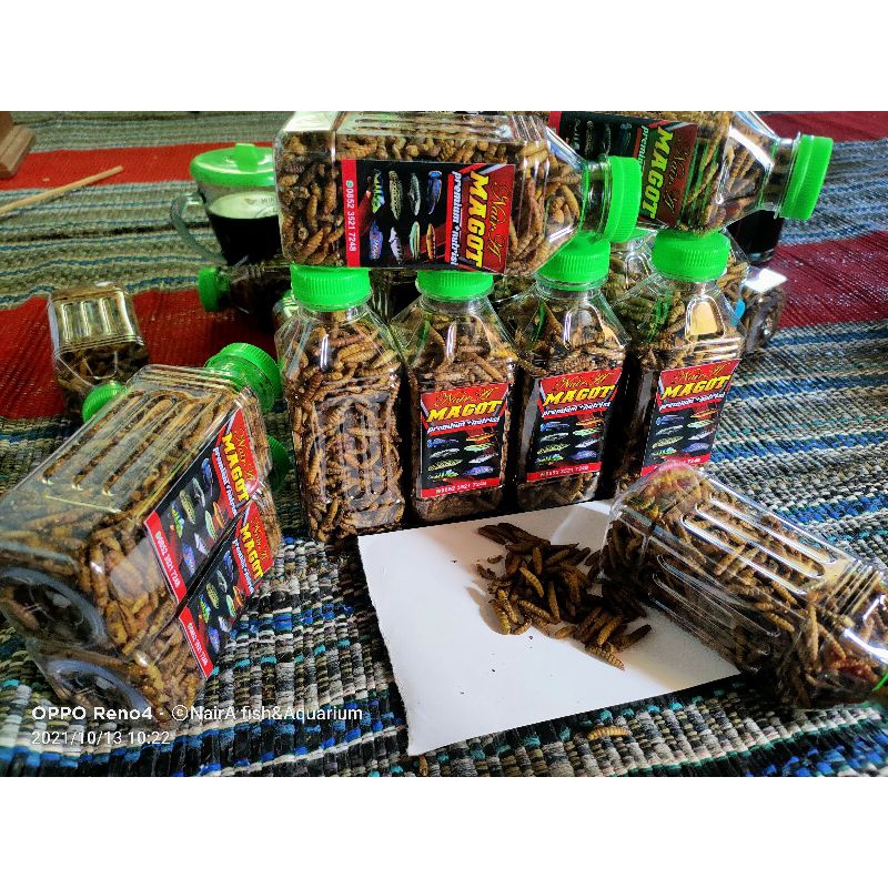 magot josss utuh pakan super NUTRISI