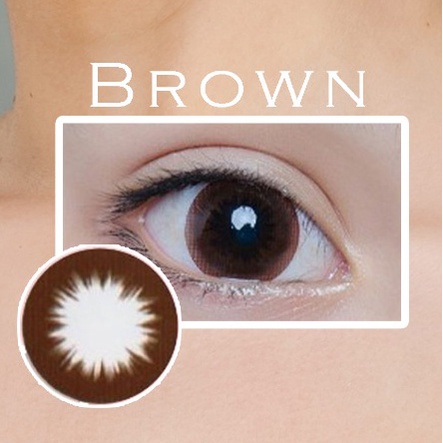 SOFTLENS SWEETY MINUS (-0.50 s/d -6.00) BLACK &amp; BROWN SERIES BY CTK