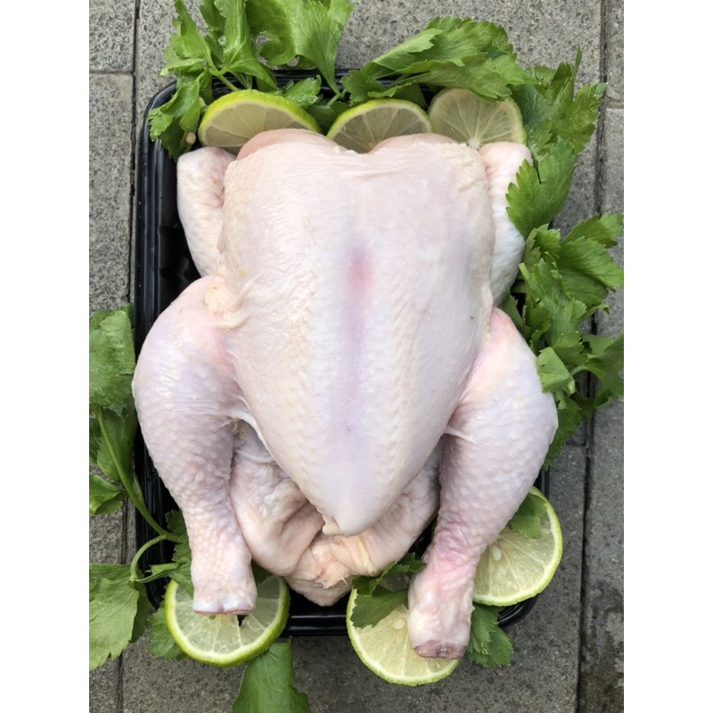 

Ayam Boiler Utuh Fresh Segar