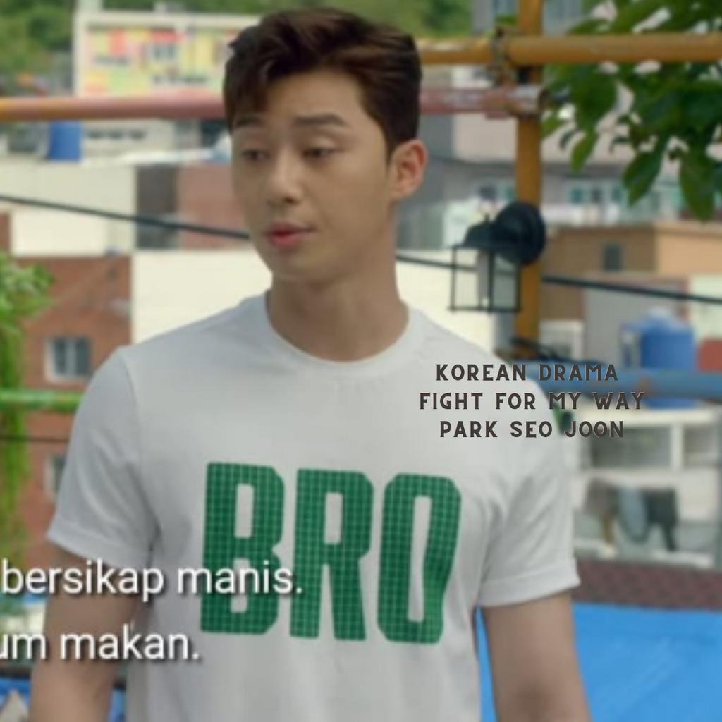COD -  Fight for My Way Kpop Korean Kdrama Park Seo Joon BRO Tee Tshirt Kaos Unisex S-XXL