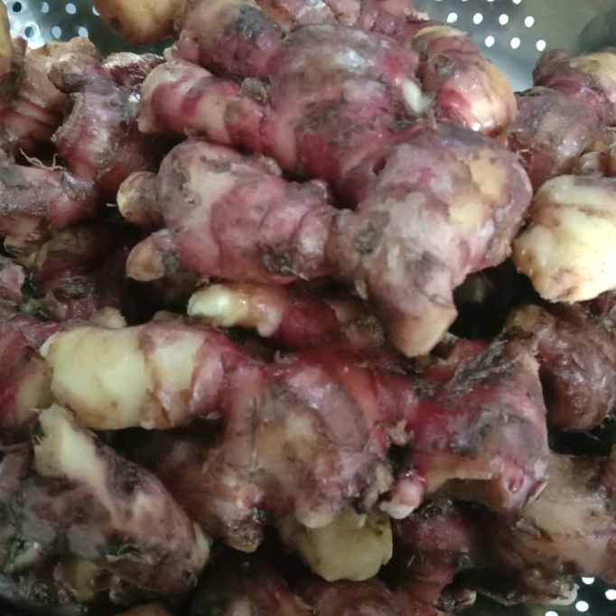 

TRADISIONALMINUMAN- JAHE MERAH BERSIH FRESH DAN SEGAR 1000GRAM -MINUMAN-TRADISIONAL.