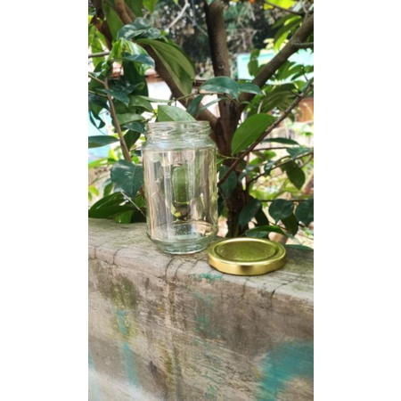 botol jar kaca 330 ml tutup seng
