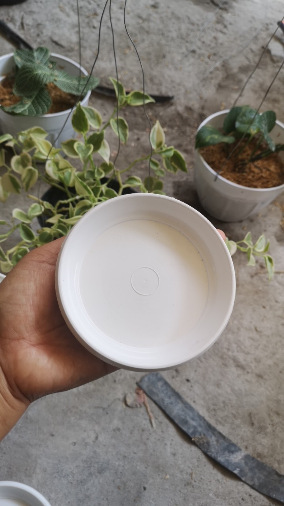 Tatakan Pot 12 Alas Pot Bunga Gbl T12 Putih Bersih Murah