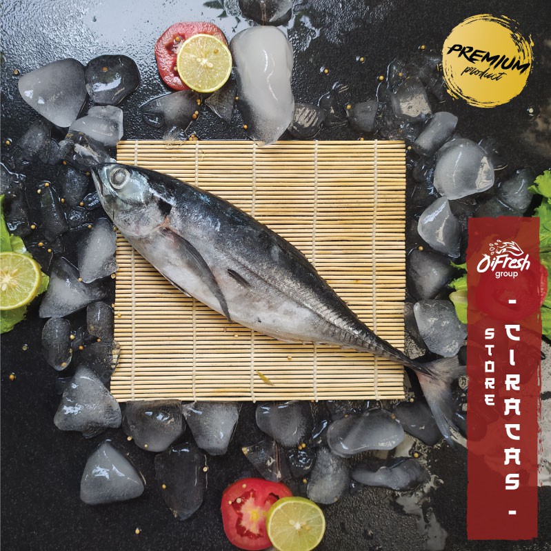 Ikan Selar Tengkek PREMIUM LOKAL Segar dan Bergaransi / Pack-1