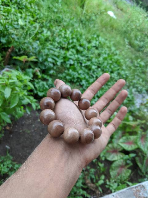 Kayu Kaboa sancang disain gelang