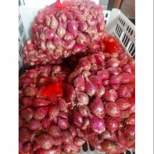 

Siap Kirim Bawang Merah Besar Brebes Bamer Bomer Wangi Premium - Sedang Besar