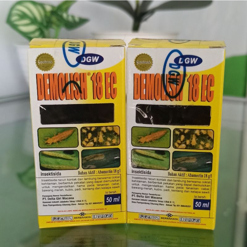 Insektisida demolis demolish ulat uler sundep Demolish