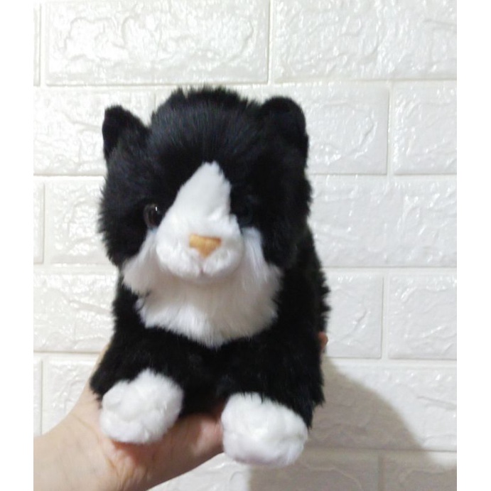 Boneka Kucing Hitam Lying