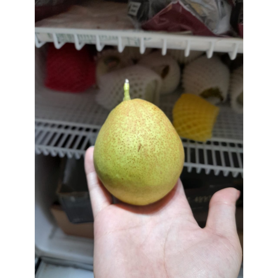 

PIR / PEAR XIANGLIE JUMBO 6PCS
