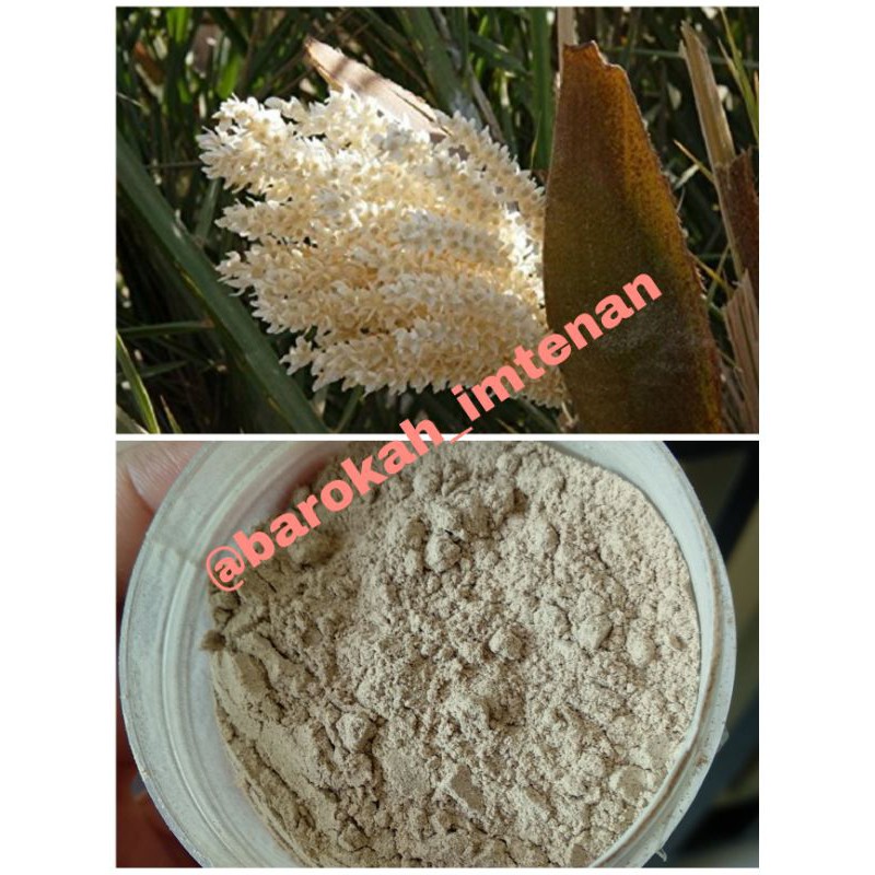 Dates Palm Pollen ± 50 gram Premium Quality / Serbuk Sari Kurma ±50 gram Asli / Promil