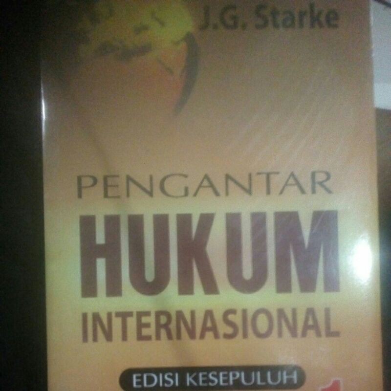 pengantar hukum internasional by starke