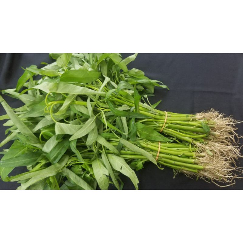 

Kangkung 1 Ikat
