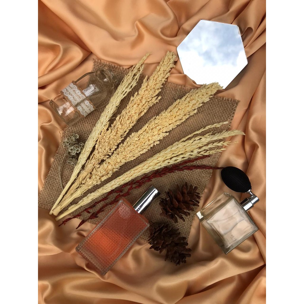 perfume zara red vanilla