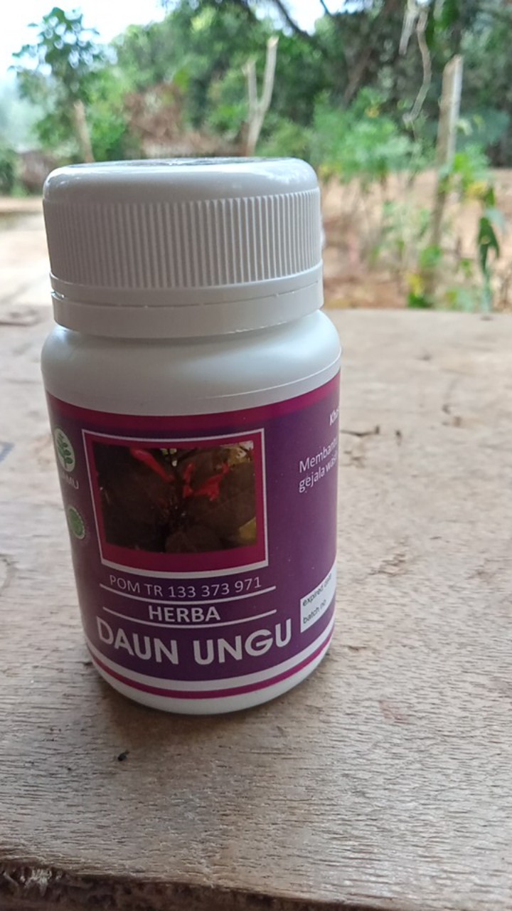 Obat Wasir Hiu Daun Ungu / Obat Ambeien / Obat Wasir Herbal / Kapsul Daun Ungu / Obat Ambeyen
