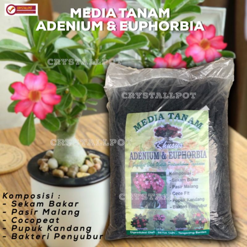 MEDIA TANAM ORGANIK KHUSUS ADENIUM EUPHORBIA SIAP PAKAI - ADENIUM EUPHORBIA