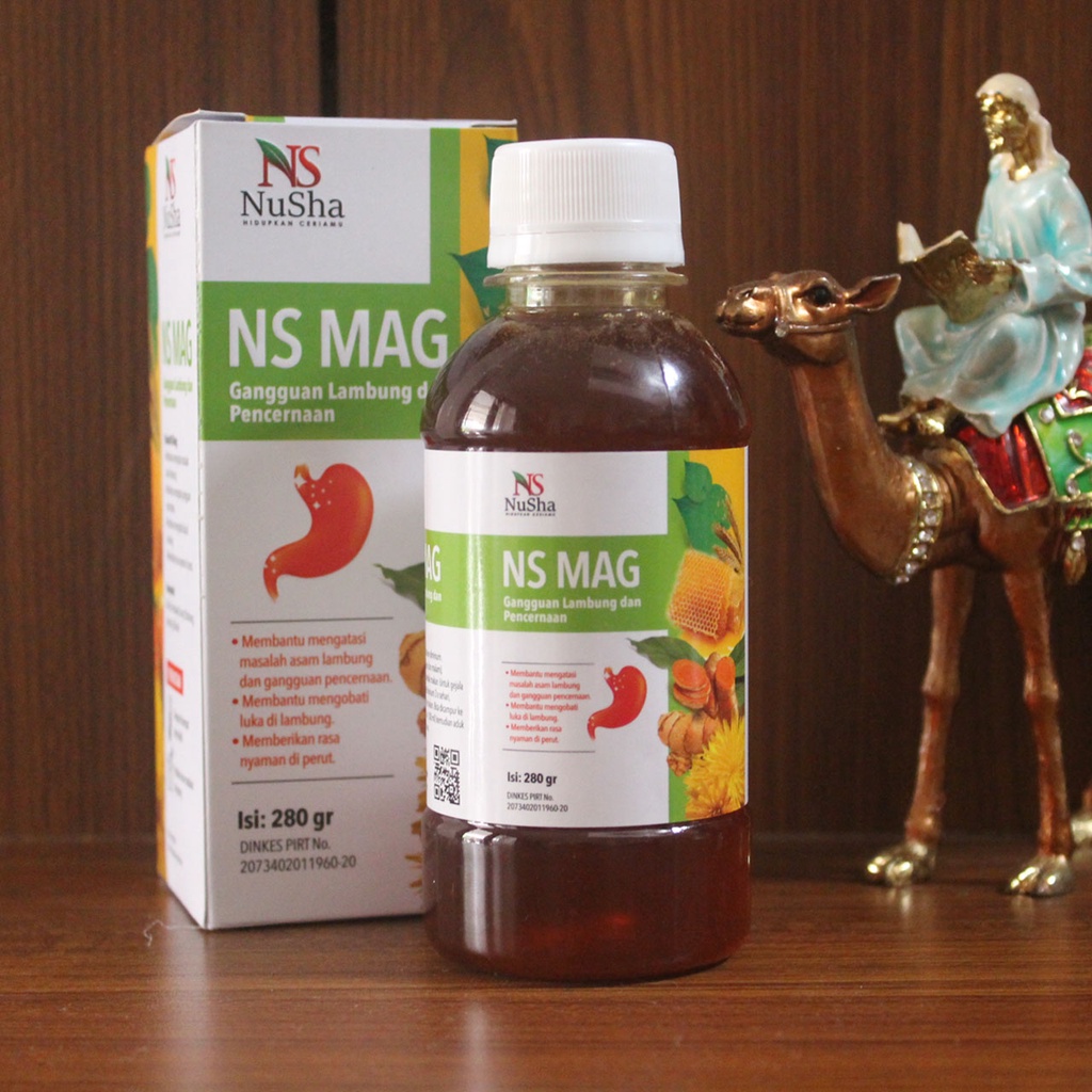 Madu Maag NS MAG (6 in 1) Asli Mengobati Sakit Maag Asam Lambung Gerd Mual Kembung 280 gr