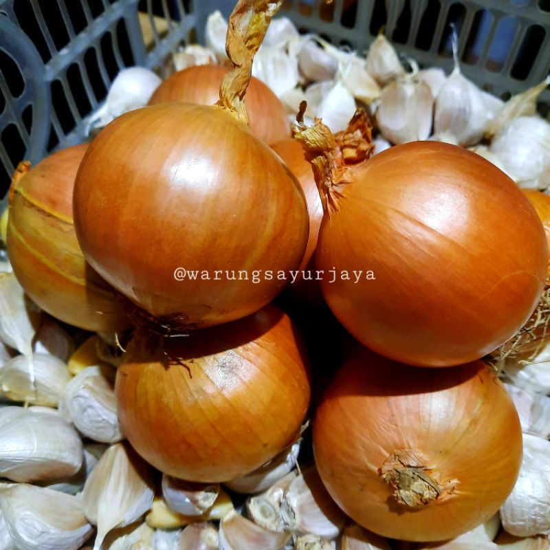 

Bawang Bombai / Bombay