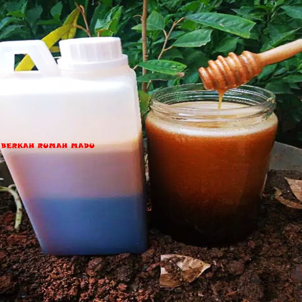 

MADU/MADU ASLI/MADU HUTAN/ MADU SIALANG/ MADU RIAU/MADU SIALANG RIAU/MADU MURNI/ MADU 5KG/ MADU 100%