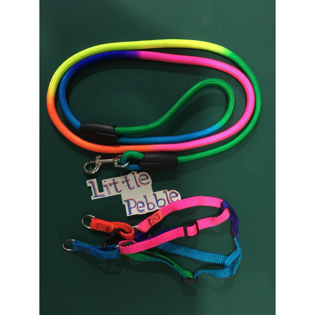 CA530 Leash Harness Rainbow Small Tali Tuntun Bulat dan Harnes Cat Dog