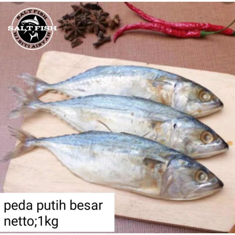 Jual Peda Putih Besar Kg Shopee Indonesia