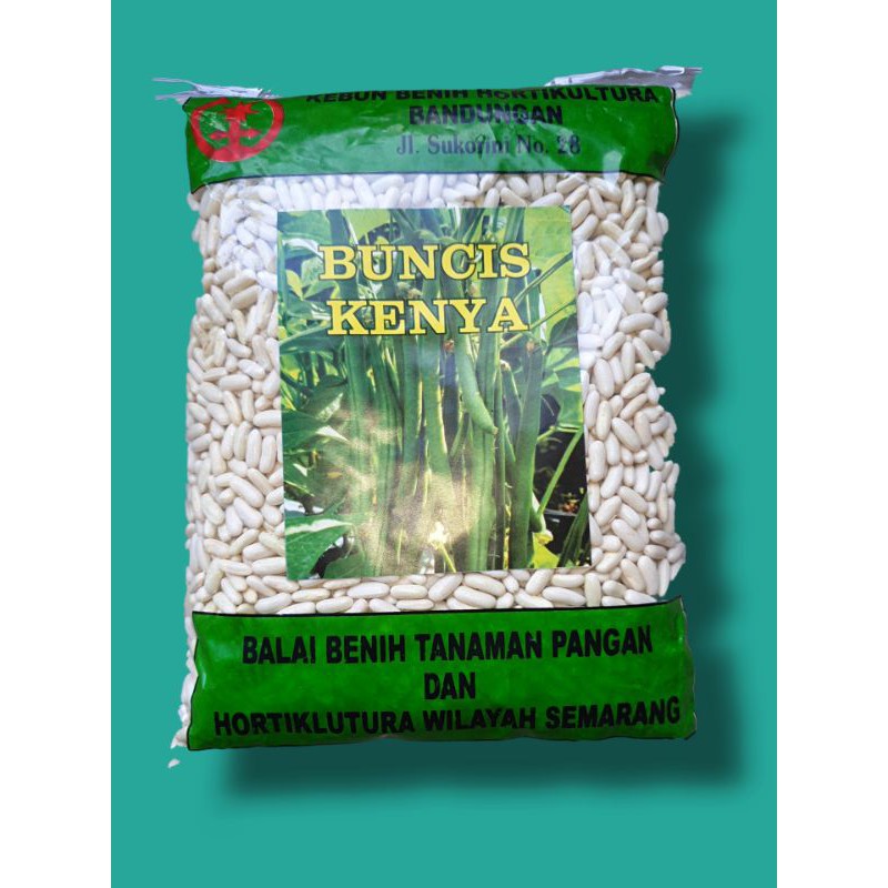 Benih Buncis KENYA BUNCIS BABY