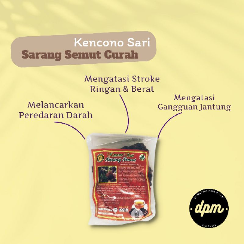 Sarang Semut Curah Herbal Asli Original Papua Netto 100 Gr